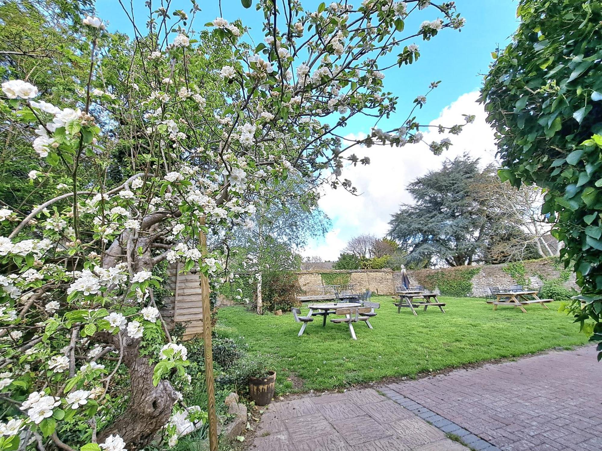 The White Hart Bed and Breakfast Eynsham Buitenkant foto